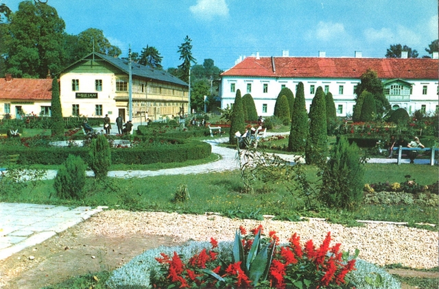 2118 - Oradea. Baile 1 Mai